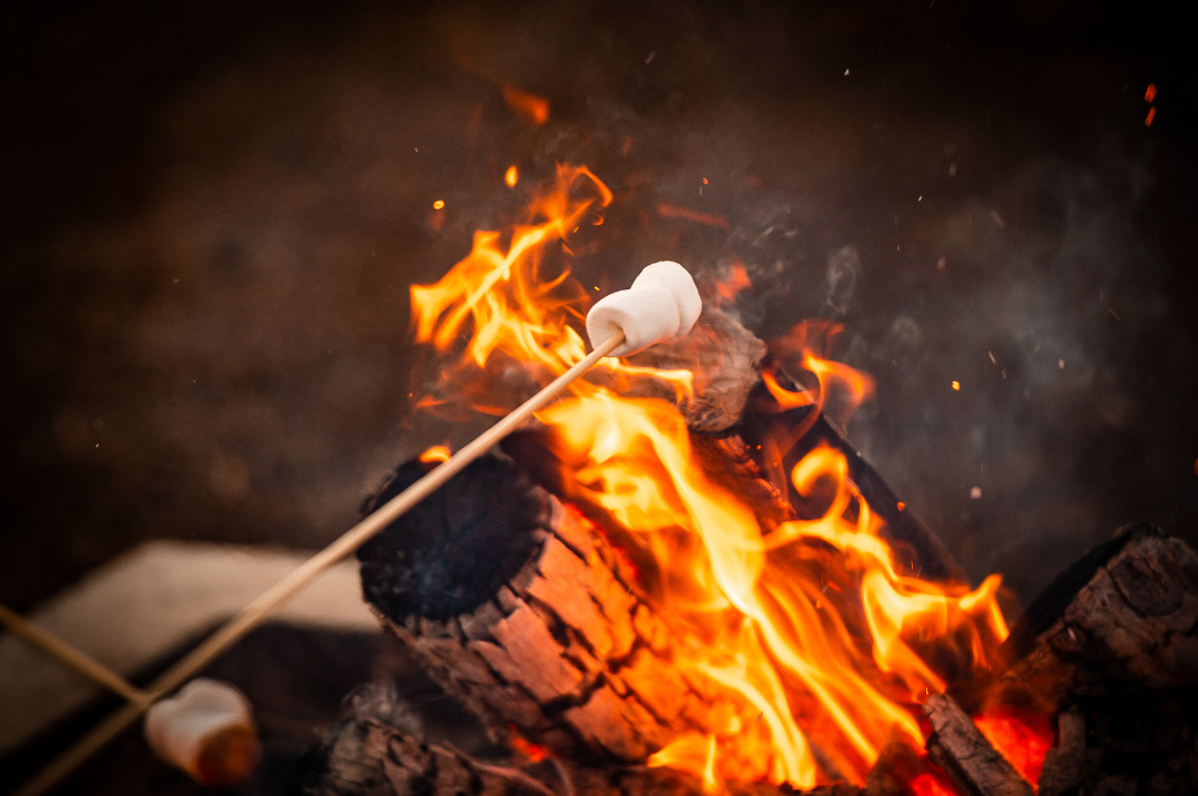 Wood, Smoke, Earth and Fire at Dindima Tickets | Orange Winter Fire Festival, 2024